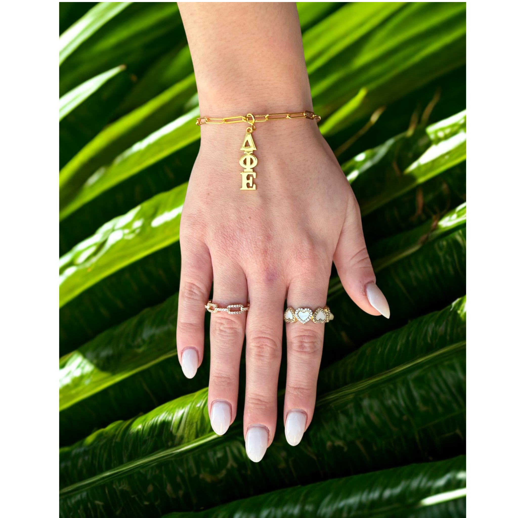 Delta Phi Epsilon Charm